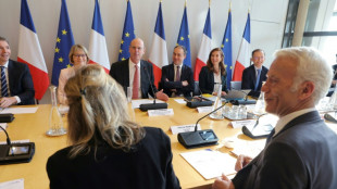 Les organisations patronales r&eacute;unies en "Conseil des entreprises" &agrave; Bercy