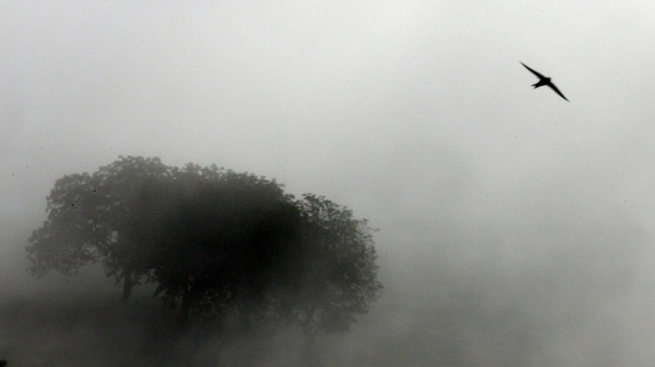 Bauarbeiter entdecken in Scheune begrabenes Skelett - wom&ouml;glich alter Mordfall