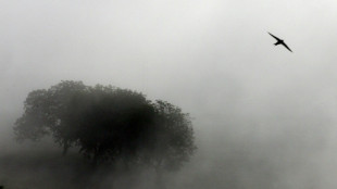 Nach Skelettfund in Scheune pr&uuml;fen Ermittler m&ouml;gliche Verbindung zu Vermisstenfall