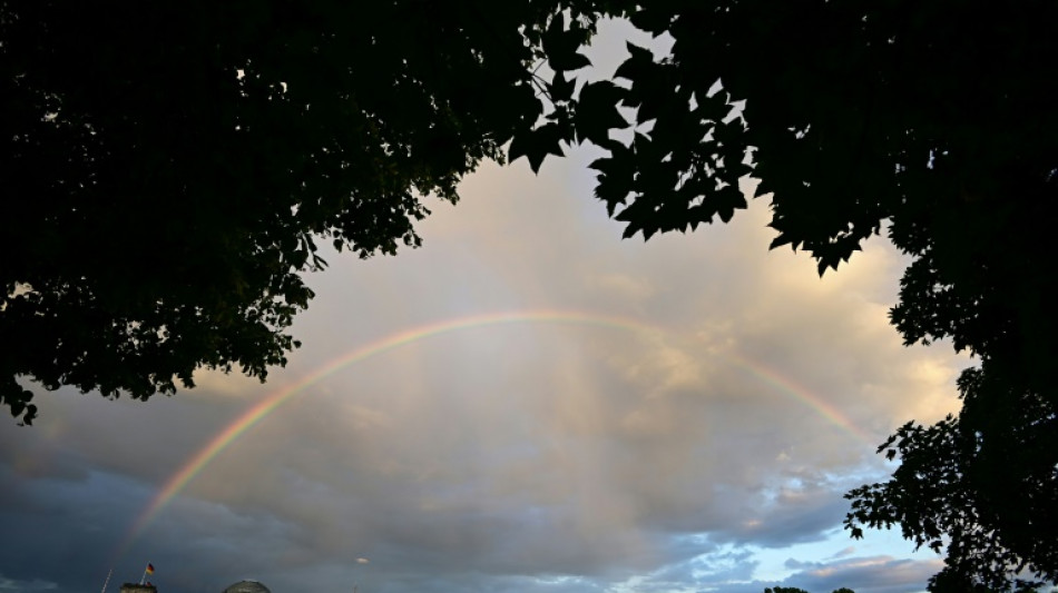 Bundestag befasst sich mit Abschaffung des Werbeverbots f&uuml;r Abtreibung