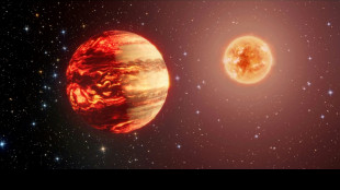 A mi-chemin entre la plan&egrave;te et l'&eacute;toile: de nouvelles naines brunes rep&eacute;r&eacute;es dans la Voie lact&eacute;e