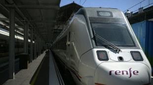 Europ&auml;ische Bahnunternehmen wollen internationales Reisen erleichtern