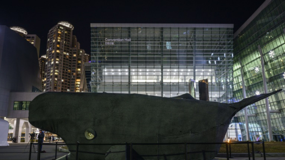 Trait&eacute; plastique: les discussions s'enlisent, demandes de prolongations