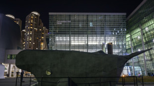 Trait&eacute; plastique: les discussions s'enlisent, demandes de prolongations