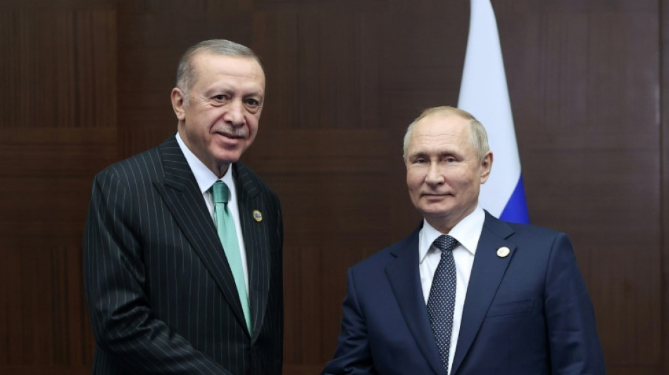Erdogan ordnet Bau von Projekt f&uuml;r russisches Gas an