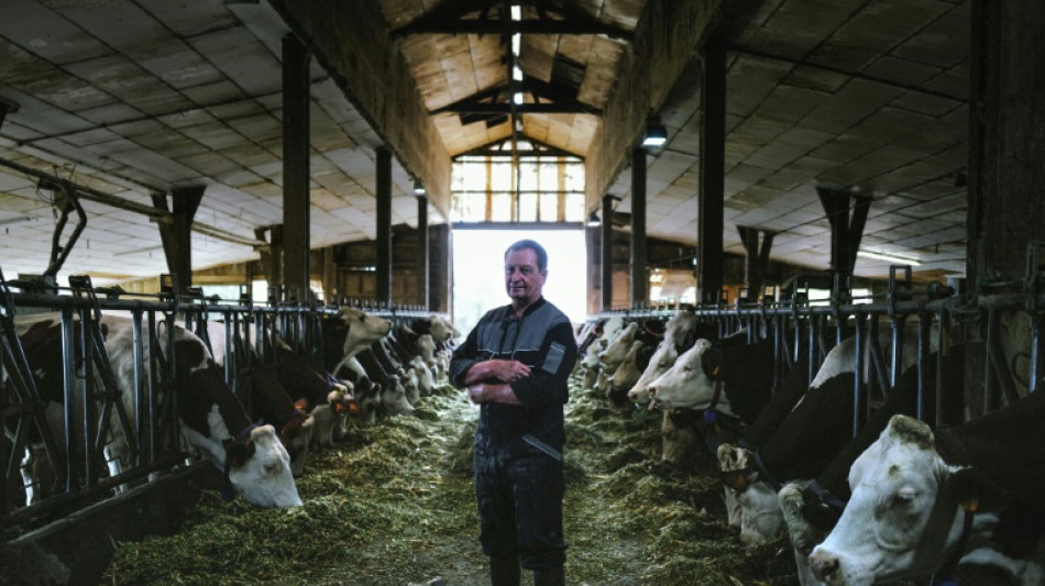 Exploitation laiti&egrave;re cherche repreneurs d&eacute;sesp&eacute;r&eacute;ment