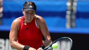 USA sweep into BJK Cup Finals with France, Czech Republic