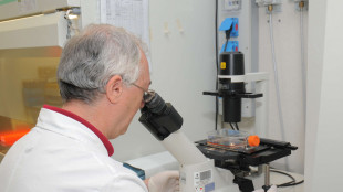 La chance di mangiare di più ha fatto unire le prime cellule