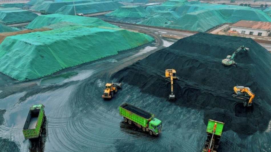 IEA: Weltweiter Kohleverbrauch auf Rekordniveau - R&uuml;ckgang ab 2024 erwartet