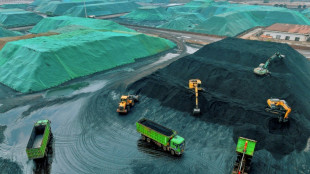 IEA: Weltweiter Kohleverbrauch auf Rekordniveau - R&uuml;ckgang ab 2024 erwartet