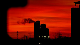 Preise im Gro&szlig;handel im November weiter gesunken