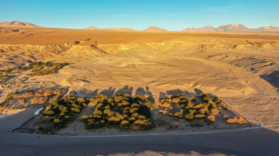 Soleil, aridit&eacute;, altitude... le d&eacute;sert d'Atacama dans un verre de vin
