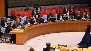 UN-Sicherheitsrat befasst sich in offener Sitzung mit Ukraine-Krieg