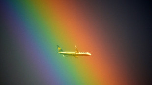 Ryanair verzeichnet starken Gewinnzuwachs und k&uuml;ndigt Dividende f&uuml;r Aktion&auml;re an