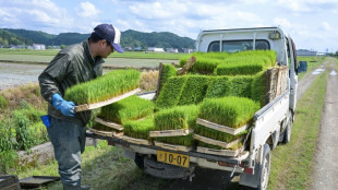 Rice prices double in Japan as inflation accelerates