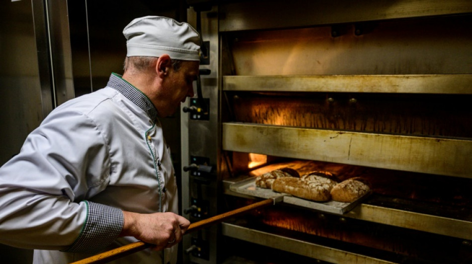 Alemania confirma una inflaci&oacute;n del 8,7% en enero