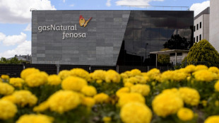 Los beneficios de la empresa energ&eacute;tica espa&ntilde;ola Naturgy subieron un 35%