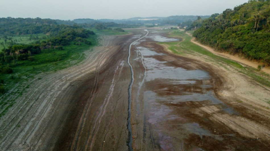 'Impunidade' e invas&otilde;es impulsionam viol&ecirc;ncia contra ativistas no Brasil, segundo relatora da ONU