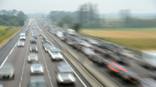 Katze auf Autobahn in Hessen aus fahrendem Auto geworfen und &uuml;berrollt