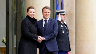 Premi&ecirc; dinamarquesa celebra 'enorme apoio' europeu sobre Groenl&acirc;ndia ap&oacute;s coment&aacute;rios de Trump