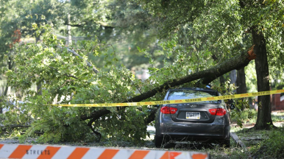 Urteil: Astabbruch geh&ouml;rt zum Risiko in Stra&szlig;enverkehr