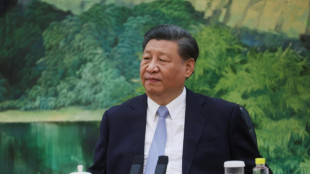 Chinas Pr&auml;sident Xi bricht zu Brics-Gipfel in S&uuml;dafrika auf