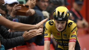 Vingegaard sufre tambi&eacute;n un neumot&oacute;rax, pero se encuentra estable