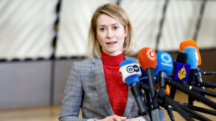 Kallas erwartet Einstufung der iranischen Revolutionsgarden als Terrororganisation