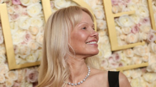 Celebridades huyen de los incendios en Los &Aacute;ngeles y Hollywood cancela eventos