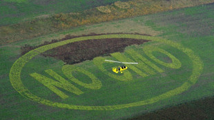 Branchenverband nennt Pl&auml;ne der EU-Kommission f&uuml;r neue Gentechnik "fahrl&auml;ssig"