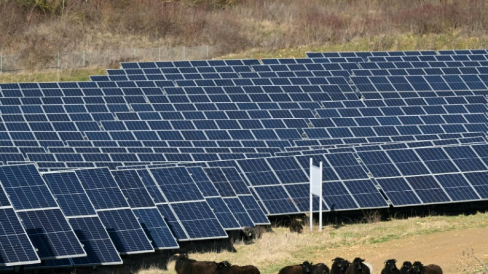 Solartechnik: Uiguren- und Industrievertreter fordern Importstopp aus Xinjiang