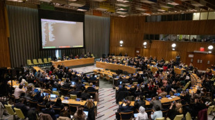 Sous pression am&eacute;ricaine, l'ONU expulse l'Iran d'une commission sur les femmes