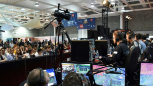 Face au risque de disparition de leurs jeux vid&eacute;o pr&eacute;f&eacute;r&eacute;s, des joueurs se mobilisent
