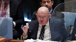 Rusia bloquea una petici&oacute;n en el Consejo de Seguridad de la ONU de investigar una supuesta masacre en Mal&iacute;