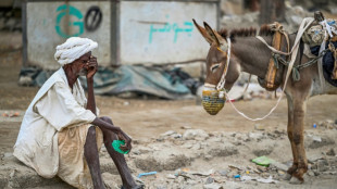 Milhares de sudaneses fogem diariamente do pa&iacute;s ap&oacute;s um ano da guerra