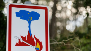 Trois d&eacute;partements du Sud-Est en vigilance rouge aux feux de for&ecirc;t mercredi