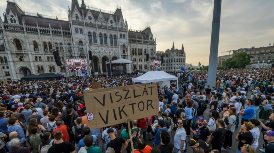 En Hongrie, la d&eacute;tresse de trois m&eacute;dias dans le viseur du pouvoir