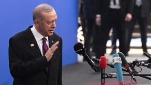 Erdogan, 'interverremo se sar&agrave; minata l'unit&agrave; della Siria'