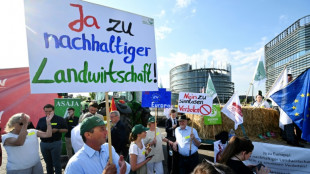EU-Parlament entscheidet &uuml;ber umstrittenes Renaturierungsgesetz