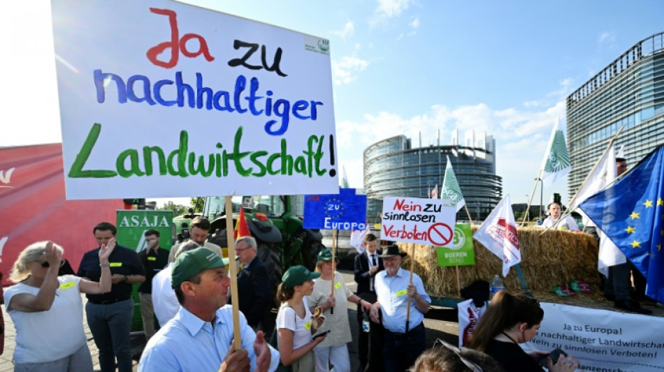 EU-Parlament f&uuml;r umstrittenes Renaturierungsgesetz - Vorhaben aber abgeschw&auml;cht