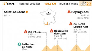 L'&eacute;tape de mercredi du Tour: l'envol dans les Pyr&eacute;n&eacute;es 
