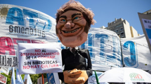 Gr&egrave;ve g&eacute;n&eacute;rale en Argentine: Milei face &agrave; une premi&egrave;re contestation