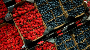 Beerenernte 2023 trotz R&uuml;ckgangs durchschnittlich gut