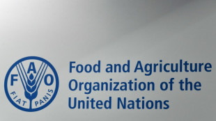 En 2024, les prix alimentaires mondiaux ont baiss&eacute; de 2% selon la FAO