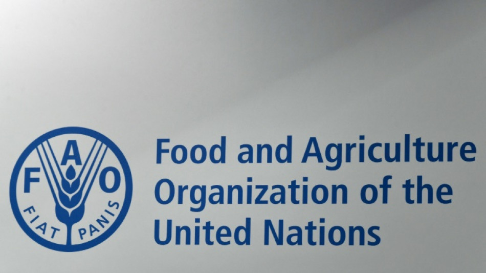 Les prix mondiaux des produits alimentaires reculent en juillet, selon la FAO