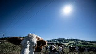 Sur les Monts du Lyonnais, des ventilateurs g&eacute;ants pour les vaches