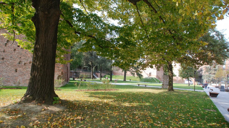 Rissa con coltelli e cocci bottiglie, ucciso un ragazzo a Rovigo