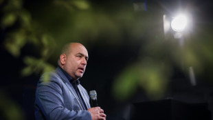 Nouripour verteidigt Nato-Entscheidung gegen Zeitplan f&uuml;r Beitritt der Ukraine