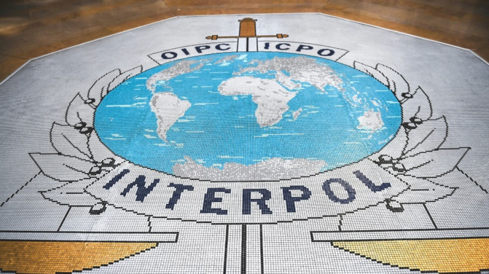Op&eacute;ration record d'Interpol contre les arnaques en ligne, 400 millions de dollars saisis