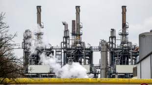 Greenpeace erwartet deutlich h&ouml;here deutsche Zahlungen f&uuml;r Energie aus Russland